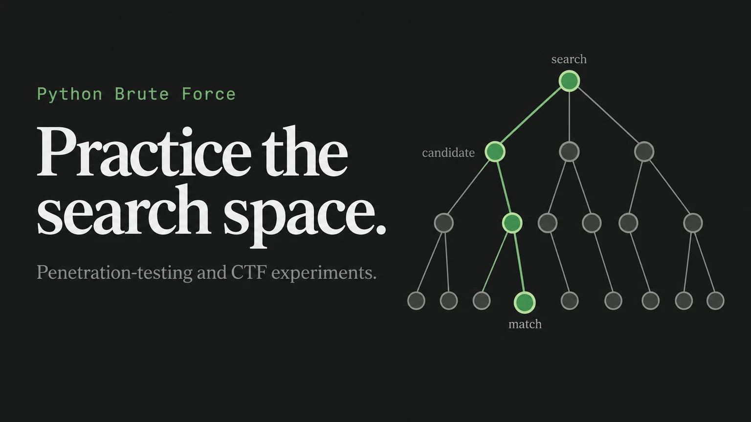 Python Brute Force: Practice the search space.